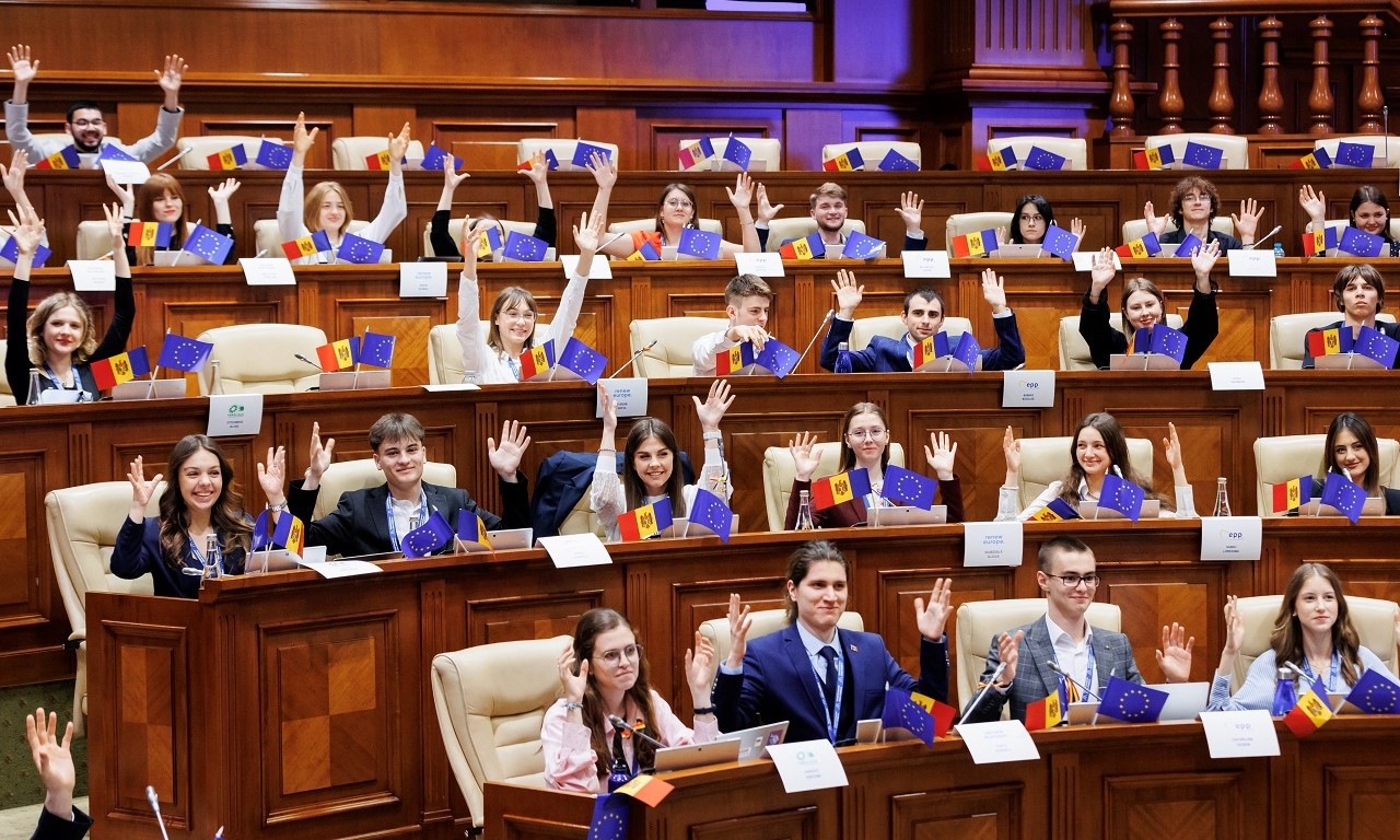 simulare a parlamentului european