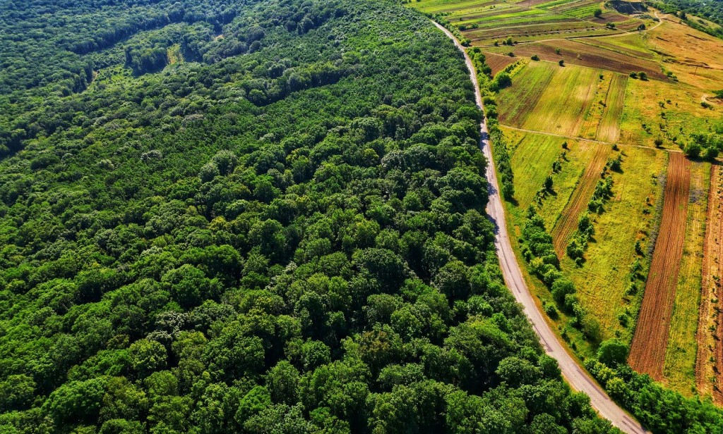 Șapte atracții turistice din Moldova sunt finaliste în cadrul concursului „Destinația Anului” din România. Cum le poți vota