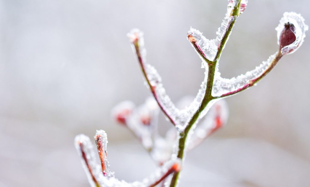 jason-mitrione-3-RBvvU7zog-unsplash