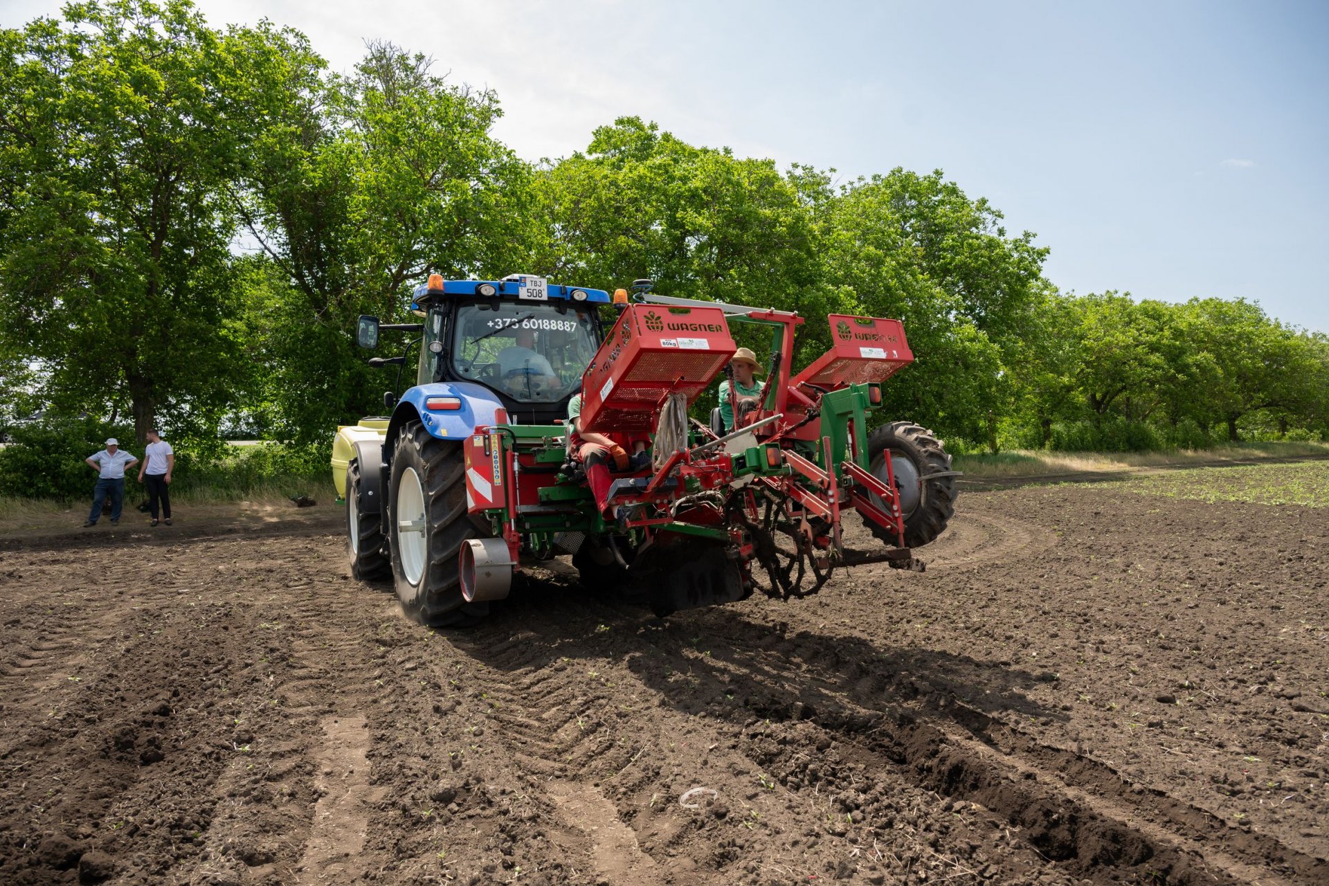 UTM lansează o plantație viticolă didactică modernă: un nou pas spre educație aplicată și agricultură durabilă 2