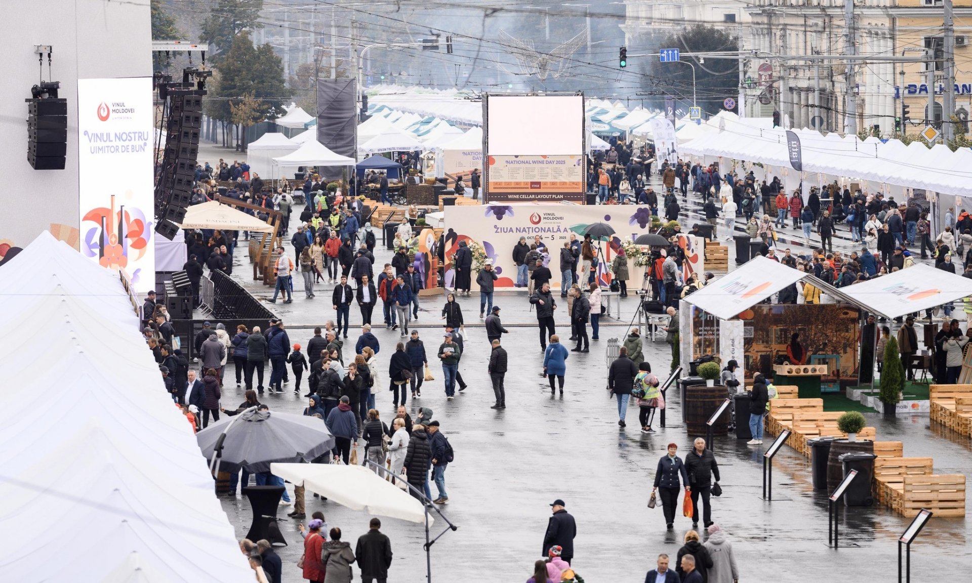 ziua vinului evenimente