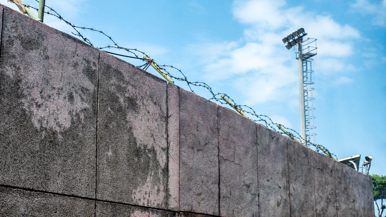 BeFunky-collage – 2025-10-31T101539.660