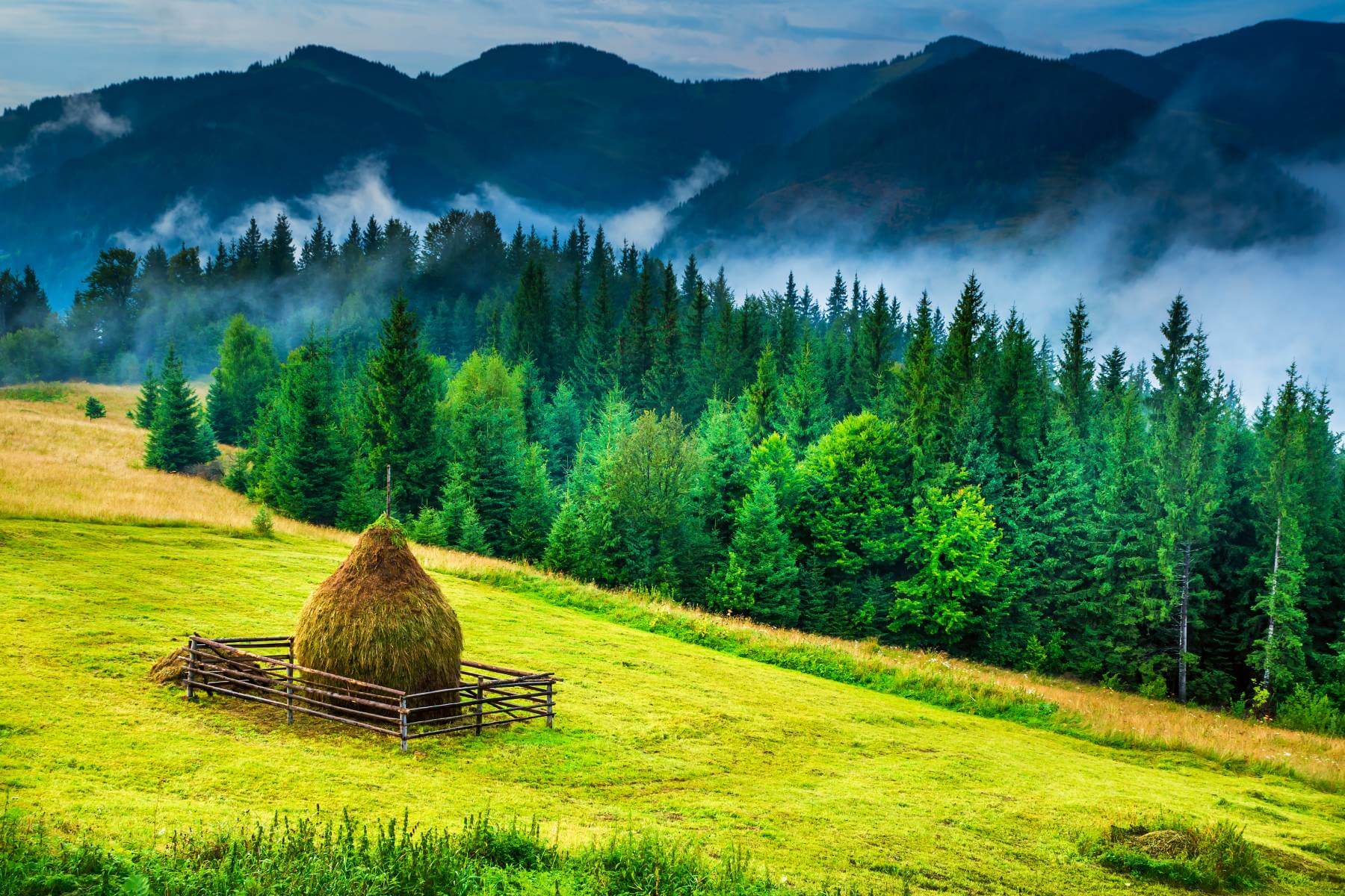 Republic-of-Moldavia-1 (1)