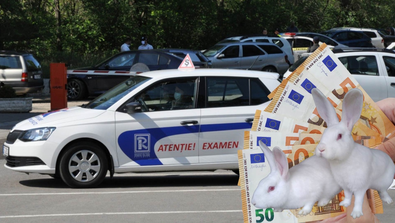 examen auto