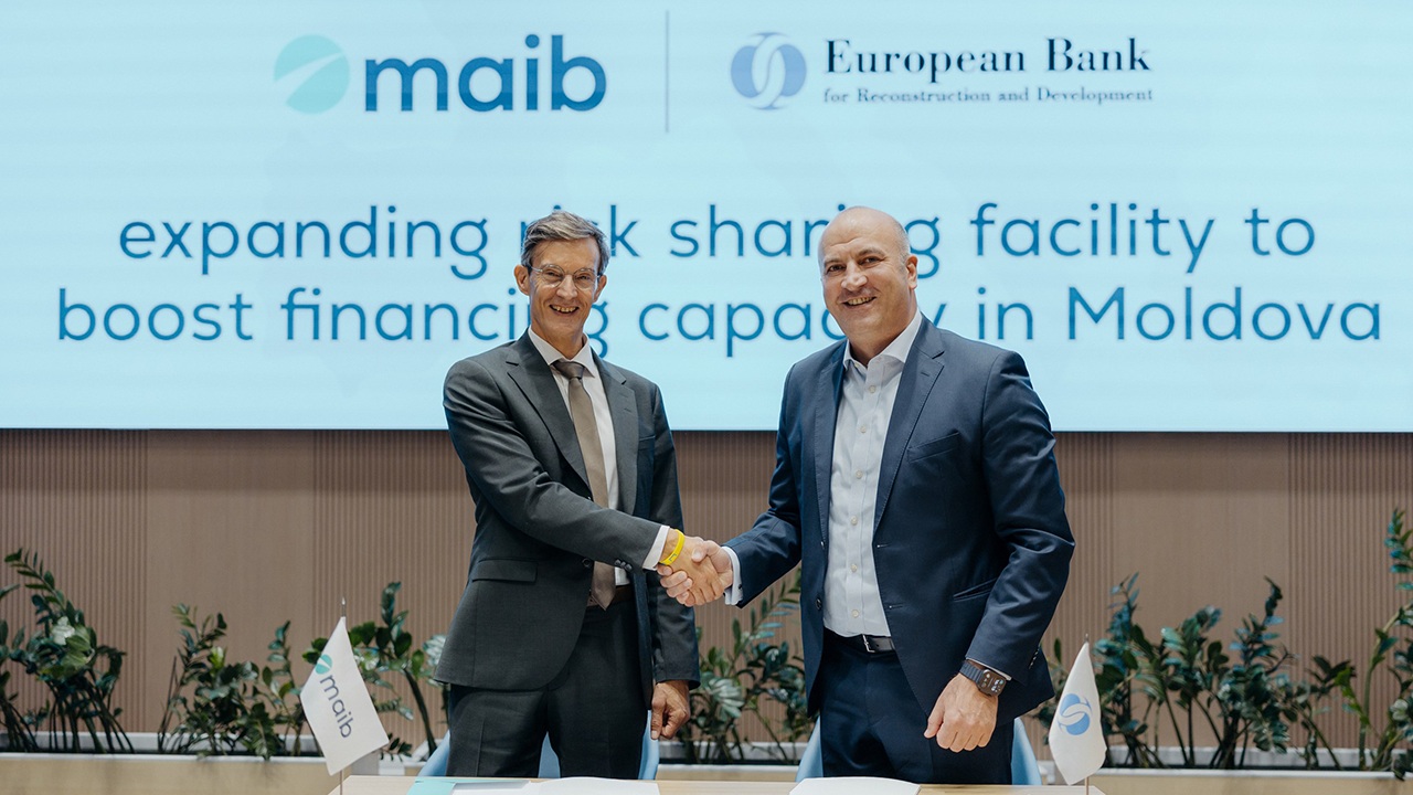 maib