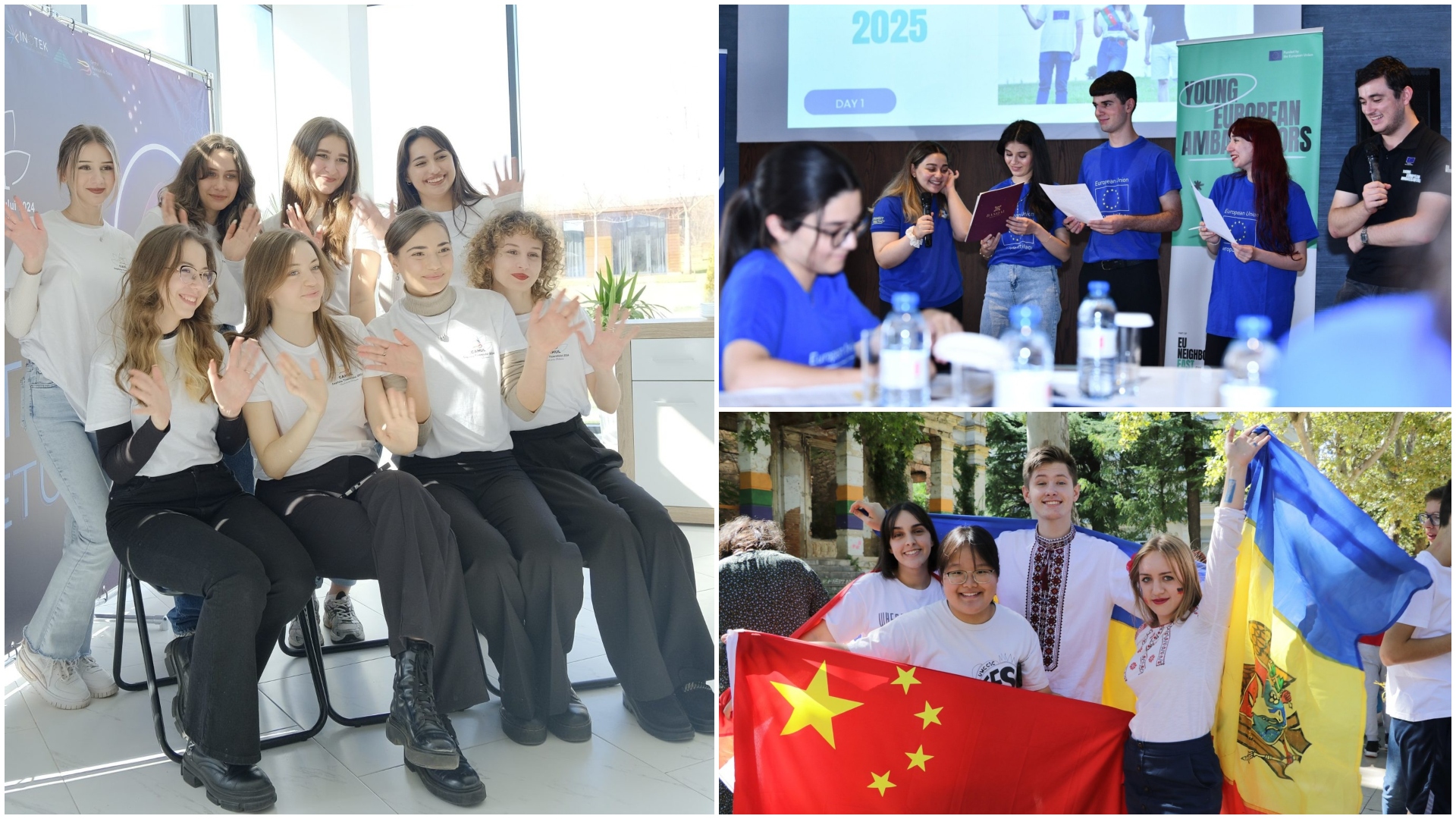 oportunități noiembrie