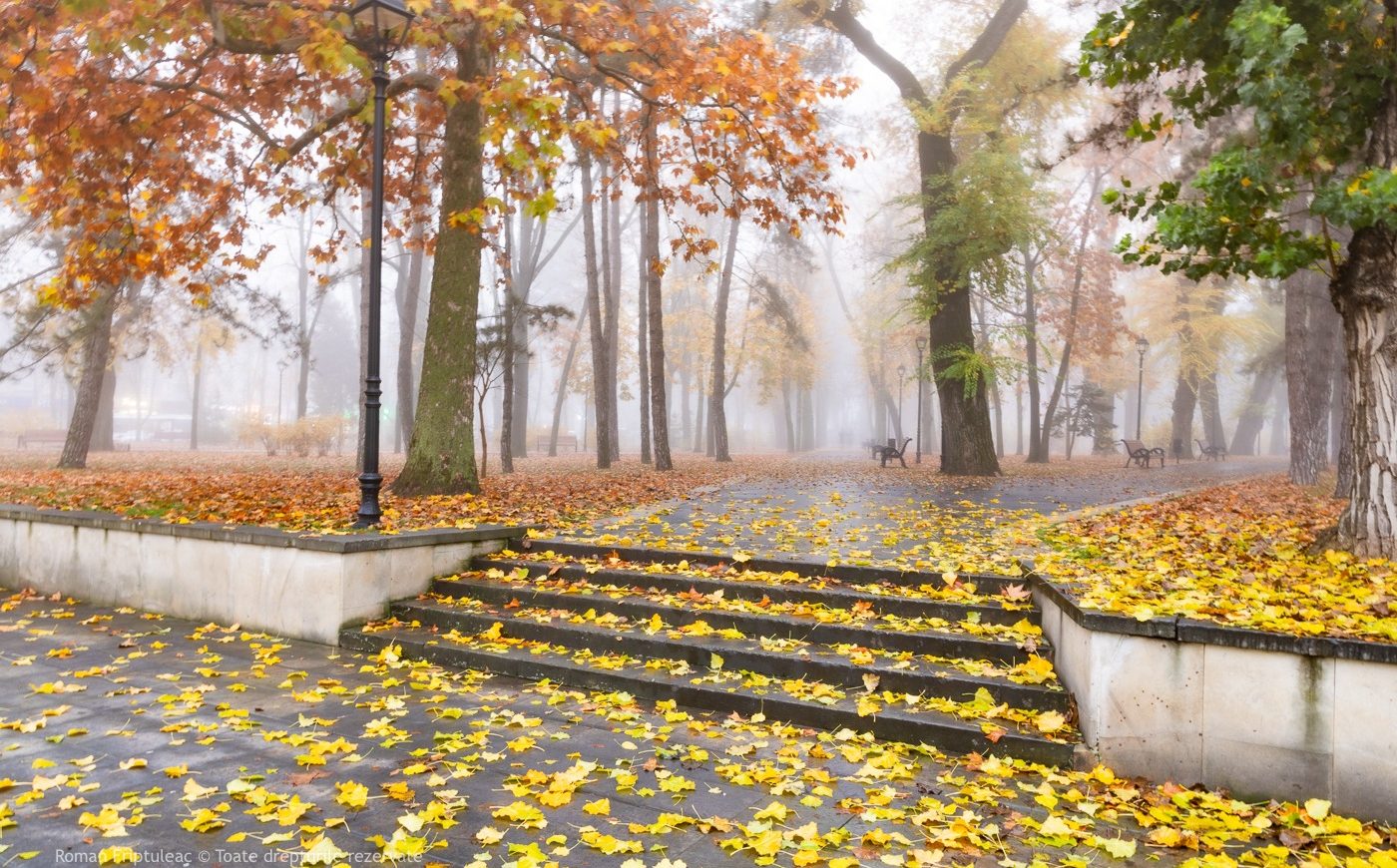 583787756_1676808307056787_9003109191908522294_n