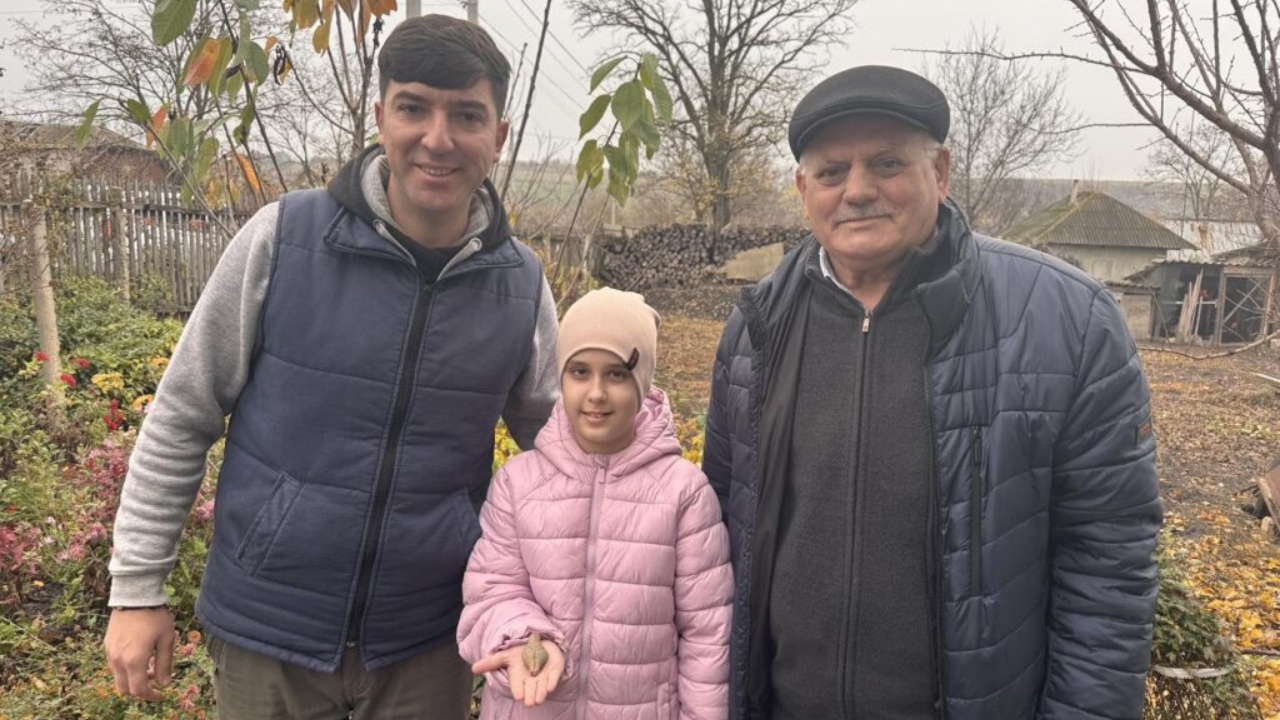 BeFunky-collage – 2025-11-10T164609.145