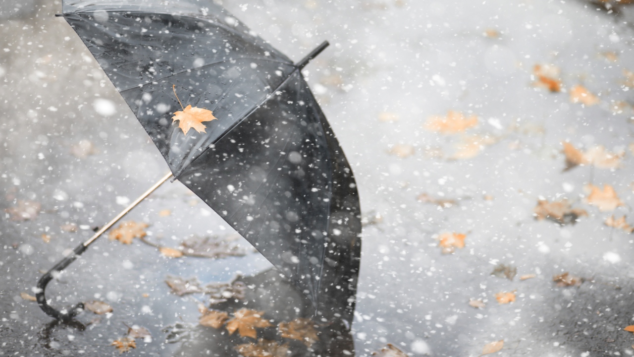 BeFunky-collage – 2025-11-23T144946.205