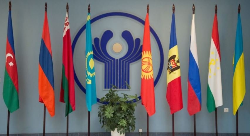 image_2025-11-08_134801457