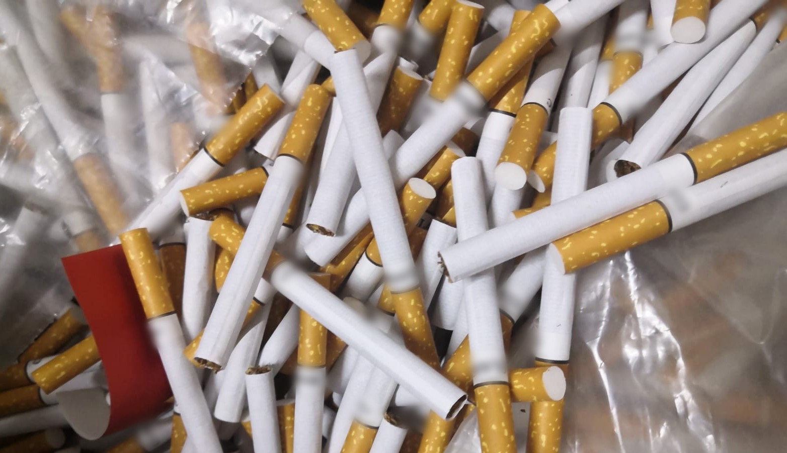 220131_sc_SV_dtt_4 (1)