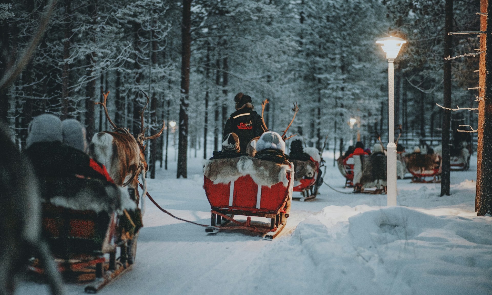 Moș Crăciun iarnă zăpadă reni