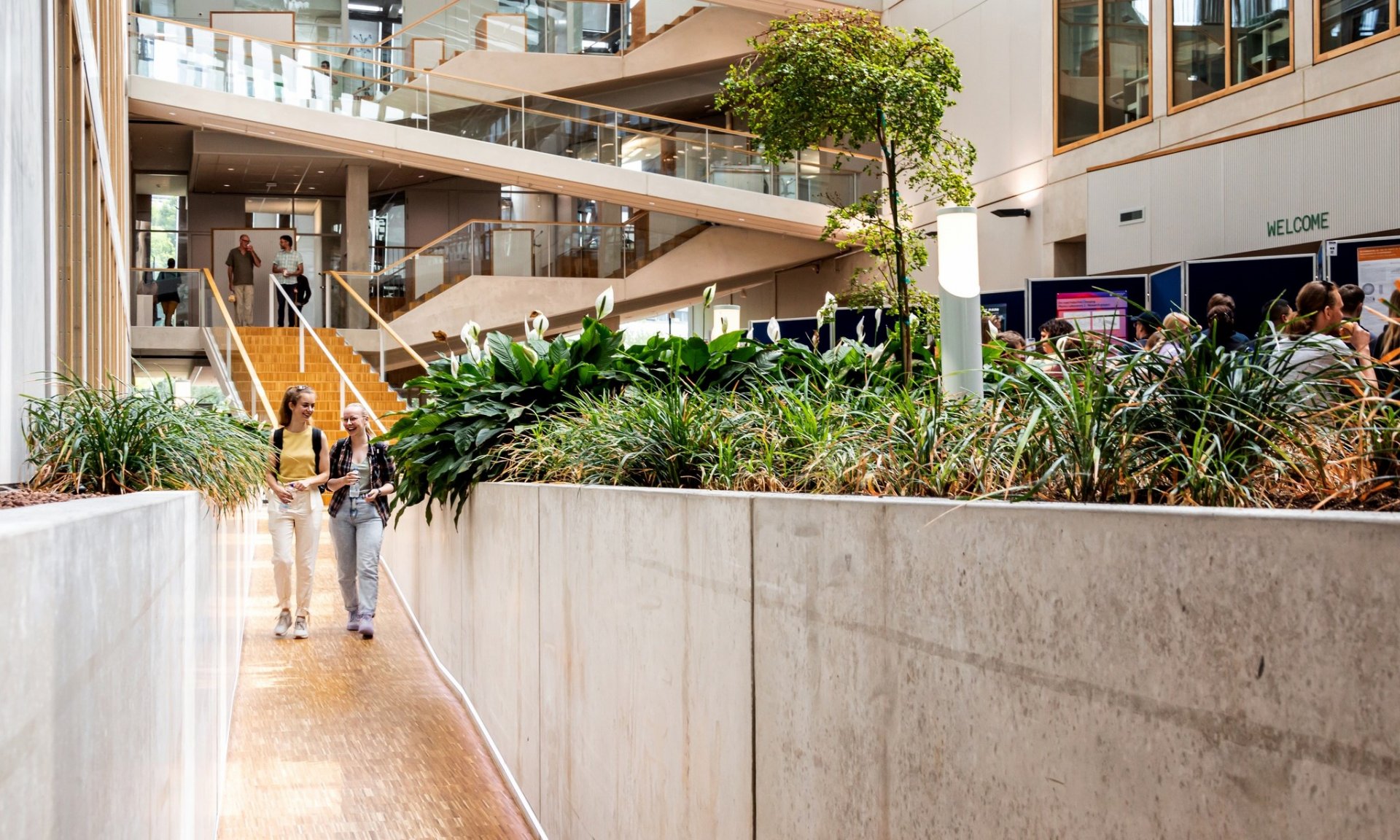 Această imagine are atributul alt gol; numele fișierului este 485005927_1059902516166278_699662424919084342_n.jpg