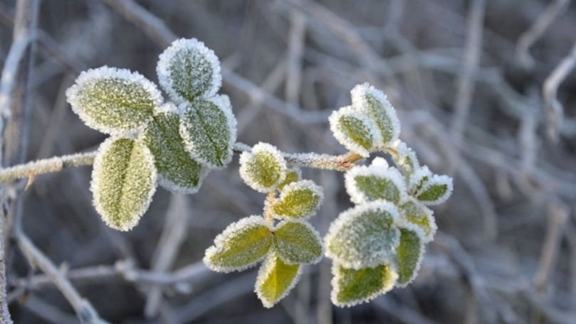 Înghețuri și vânt: cum va fi vremea săptămâna viitoare