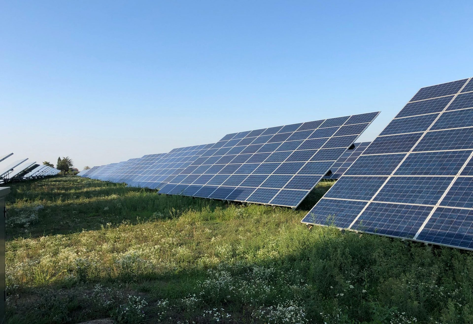 pexels-diego-vivanco-103691-16586163