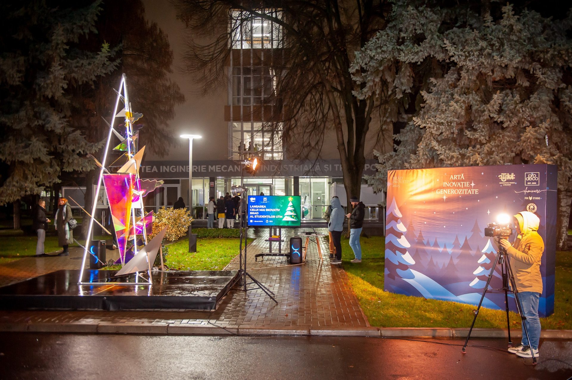 brad universitate iarnă