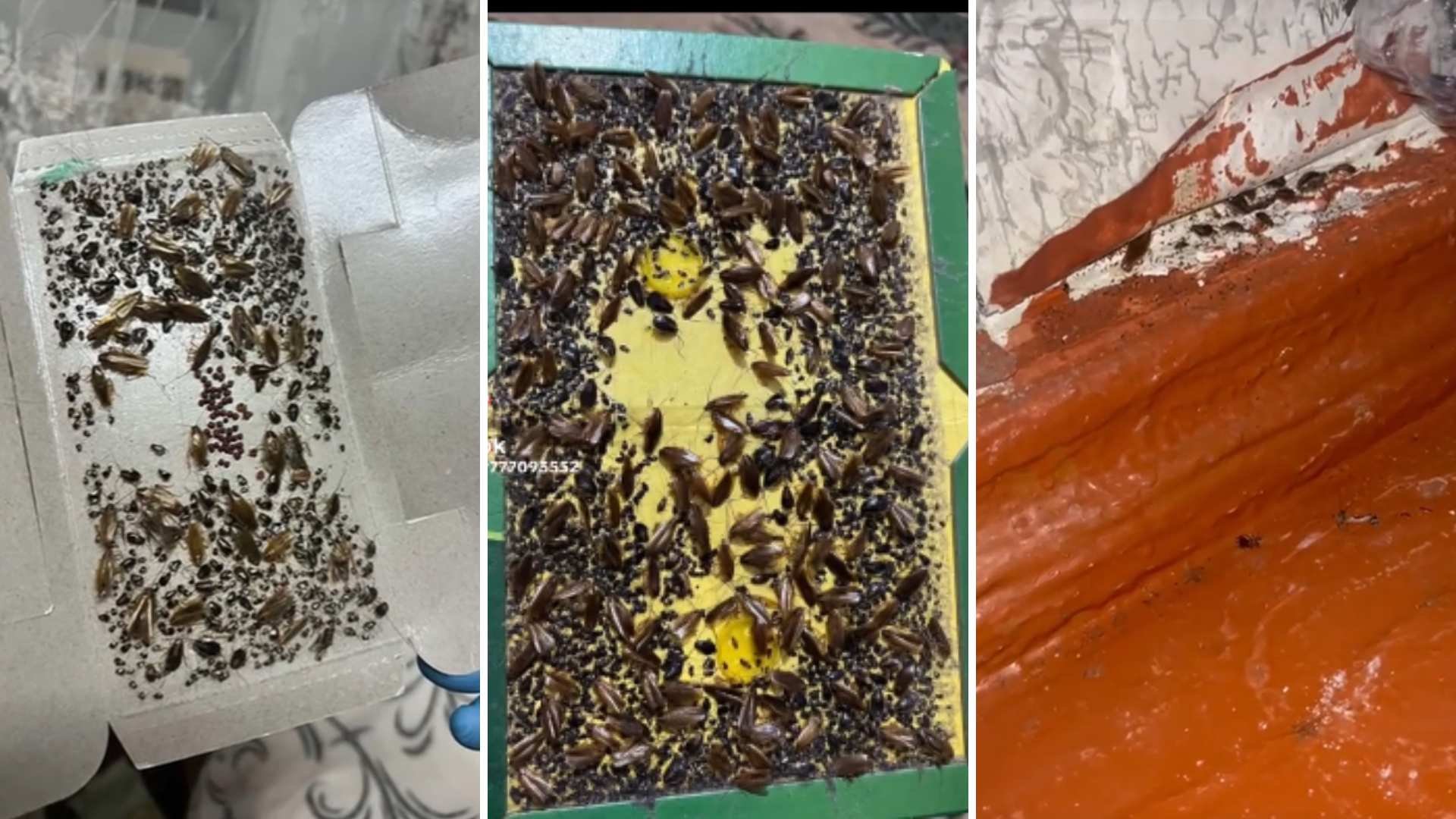 image_2026-01-13_130951955