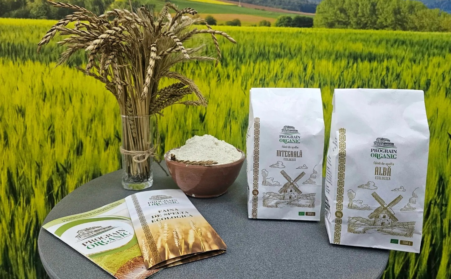 Prograin Organic: agricultura ecologică din Republica Moldova cucerește piețele externe