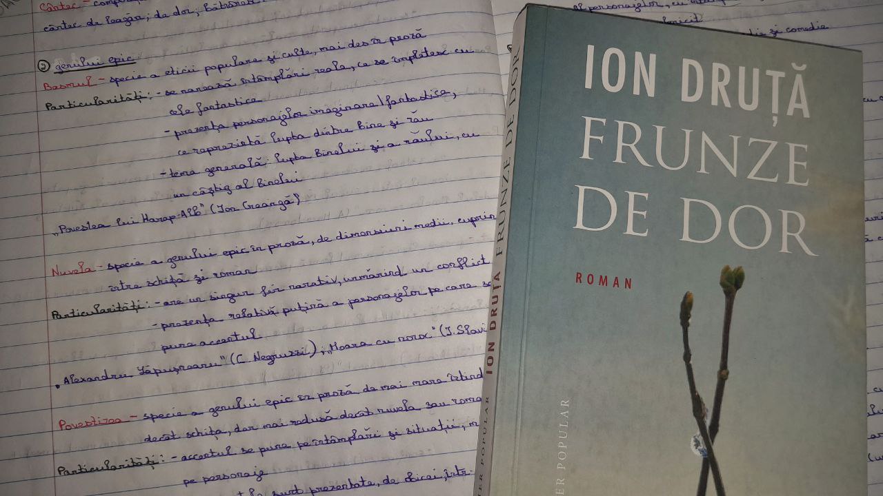BAC 2026: cum se pregătesc pentru examen două eleve de la profilul umanist
