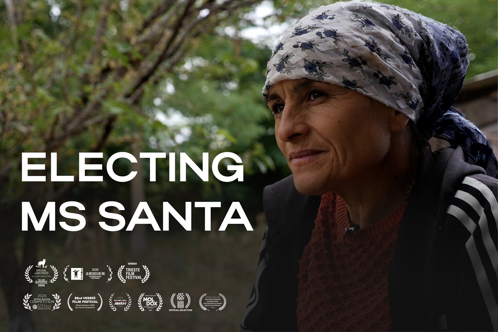 Electing_Ms_Santa-cover-100626