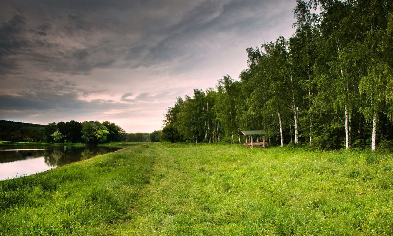 peisaj, călătorii, pădure, Moldova