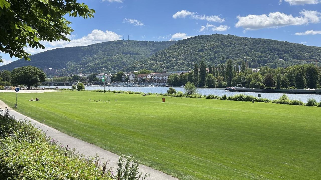 sport (1)